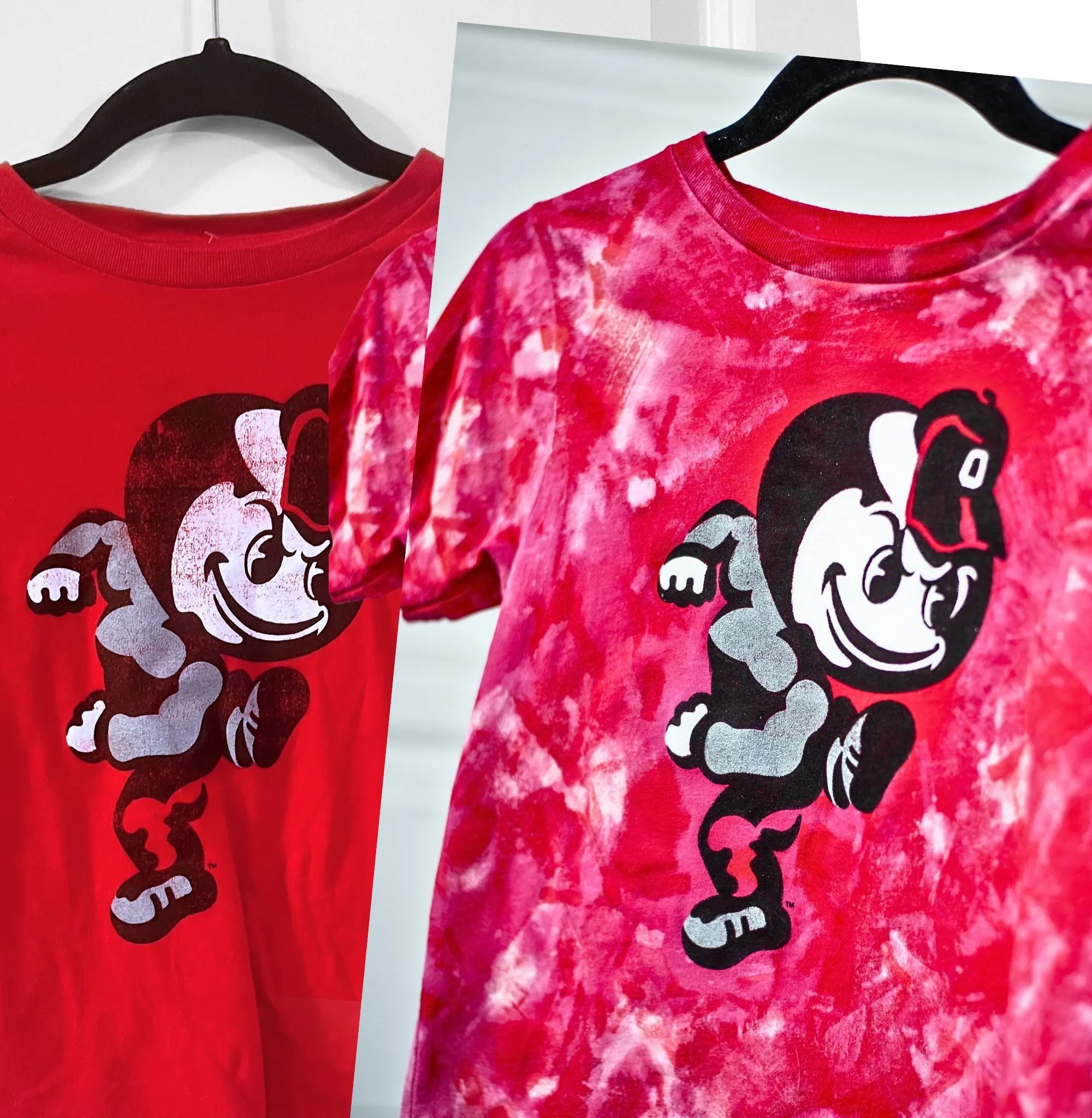 Ohio State Buckeye Rework Restoration
